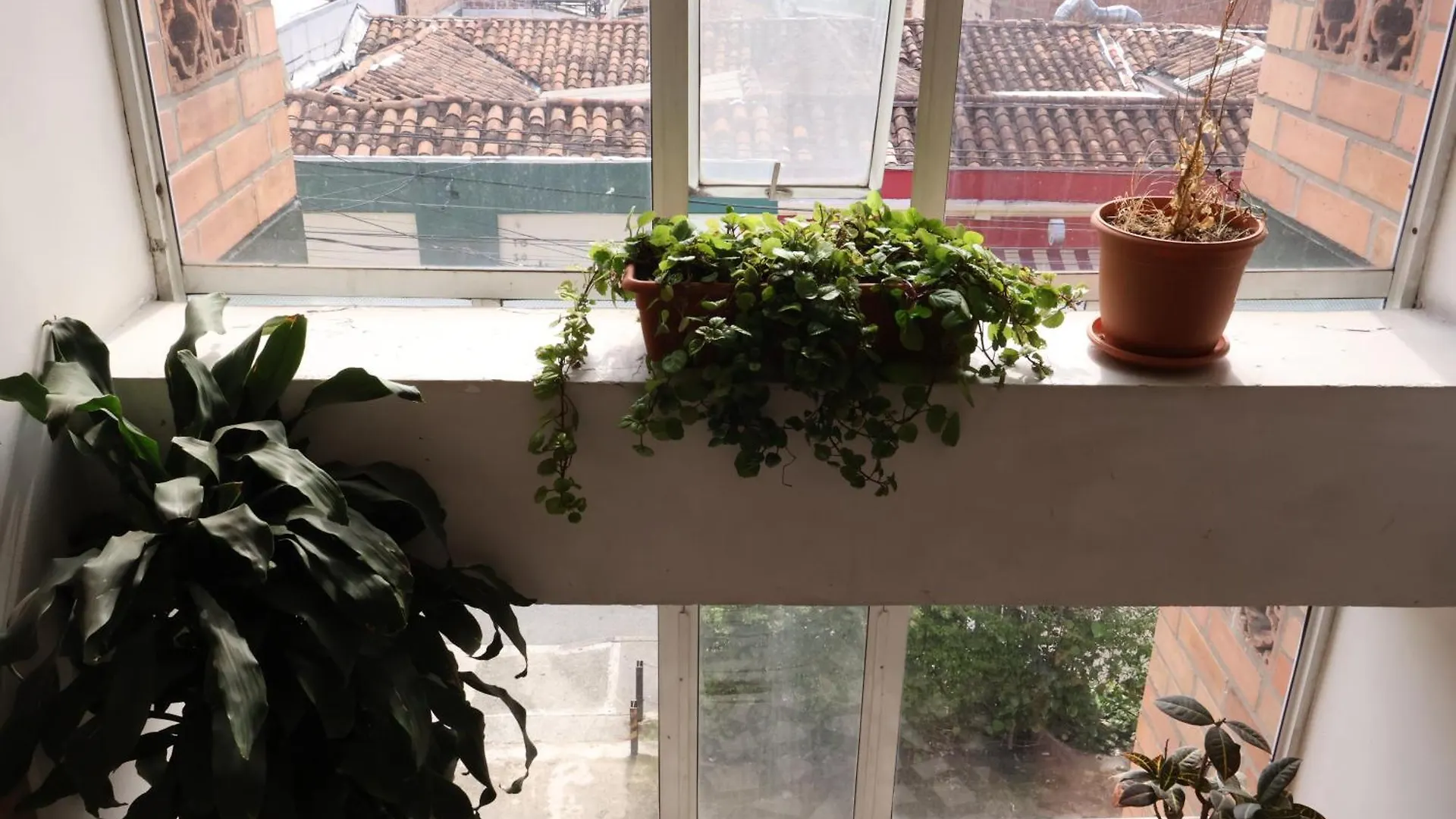 Homestay Living Poblado Manila 3020 Habitacion Doble Medellin Colombia